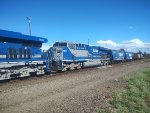 RUMO 2562